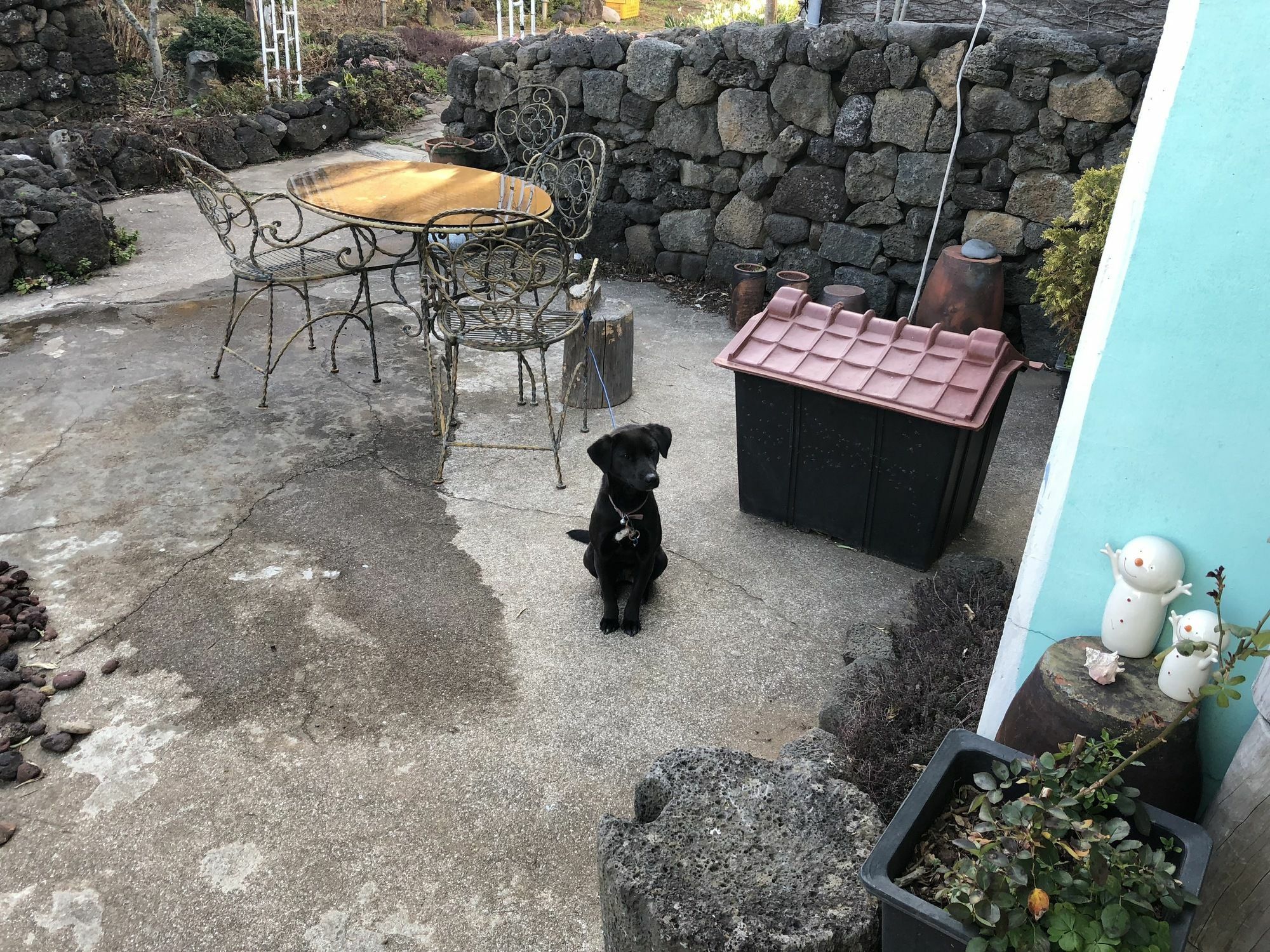 Jaun Guesthouse Seogwipo Bagian luar foto